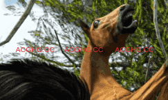 【欧美SLG/汉化/完结】母亲村：露营日v1.0完结 AI版【PC+安卓/1.98G/更新】Mothers Village: Camping Day [v1.0]